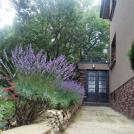 APARTMÁN V ZAHRADĚ PRAHA TROJA - APARTMENT IN THE GARDEN PRAGUE Troja Praga Exterior foto